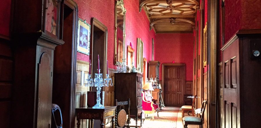 Day 2-3 The Orientation